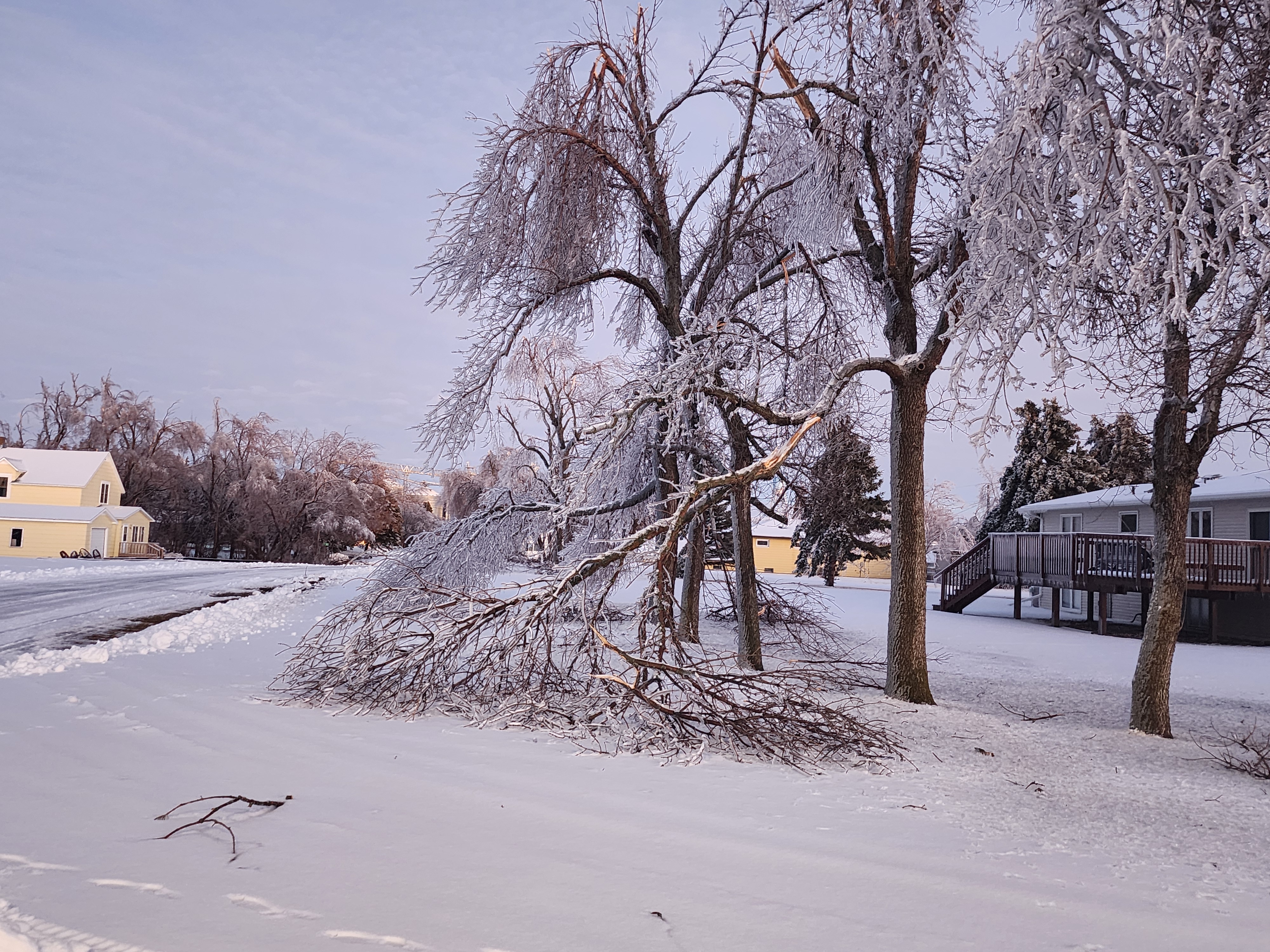 Ice Storm 12.27.23